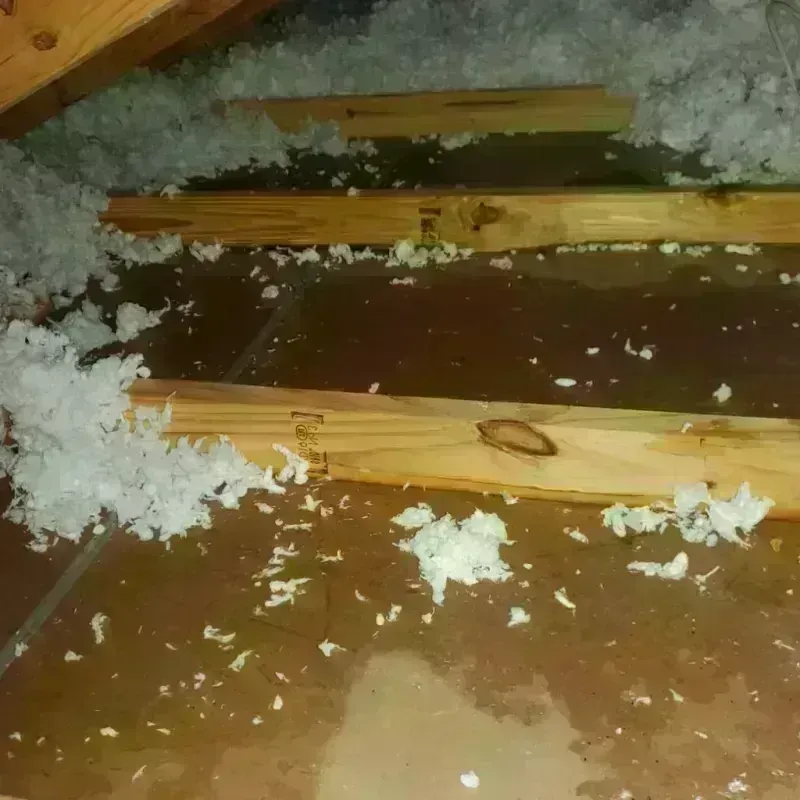 Attic Water Damage in Lawai, HI